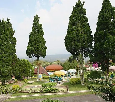 Amanda Hills-2